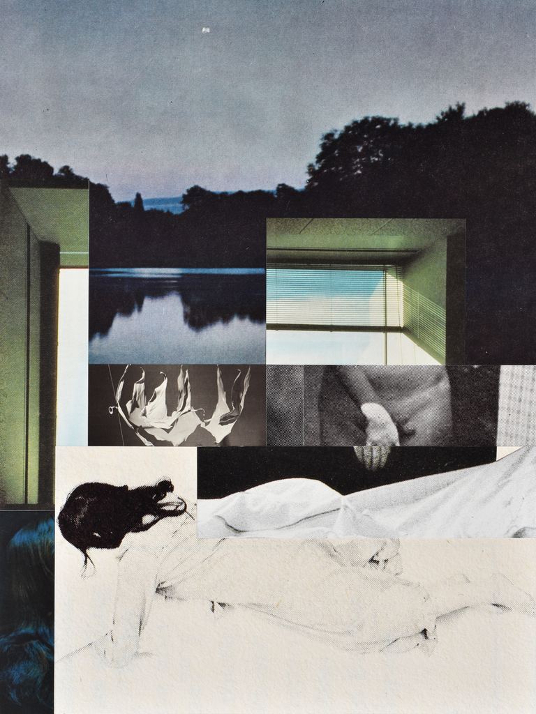 Lillian O'Neil, The winds hand, 2024