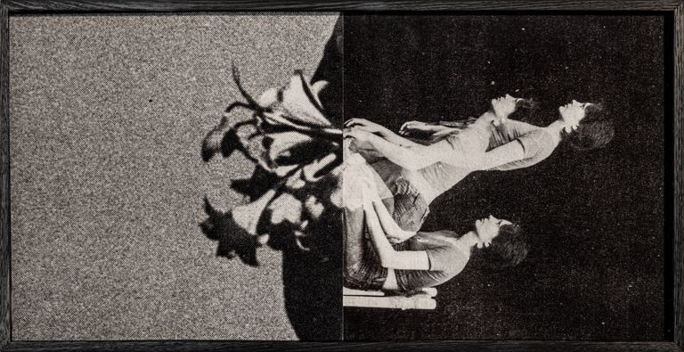 Lillian O'Neil, Lilies, 2024