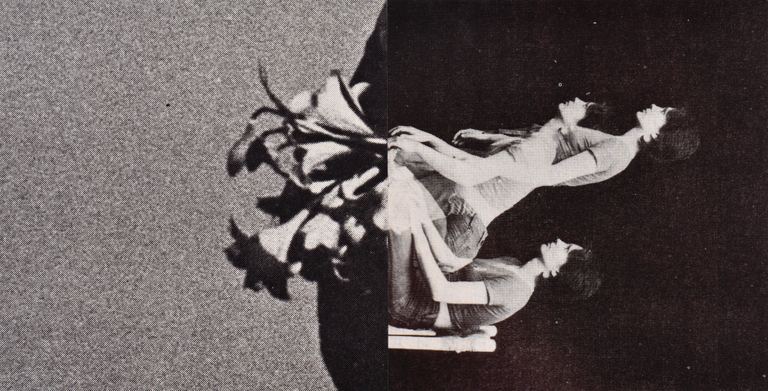 Lillian O'Neil, Lilies, 2024