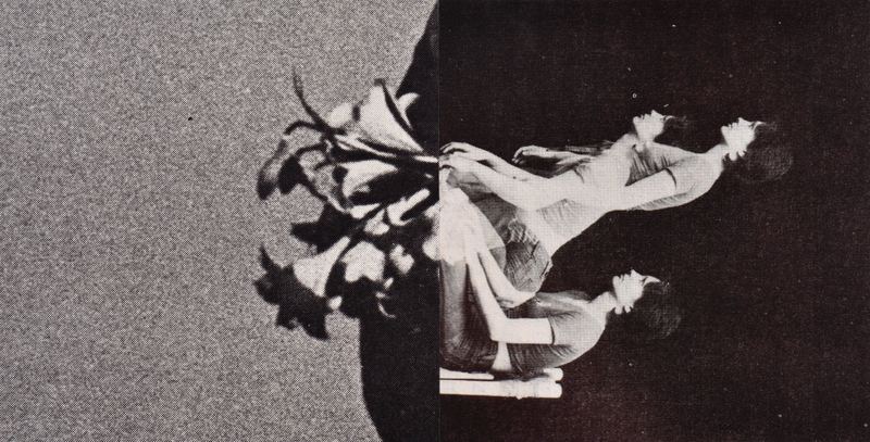Lillian O'Neil, Lilies, 2024
