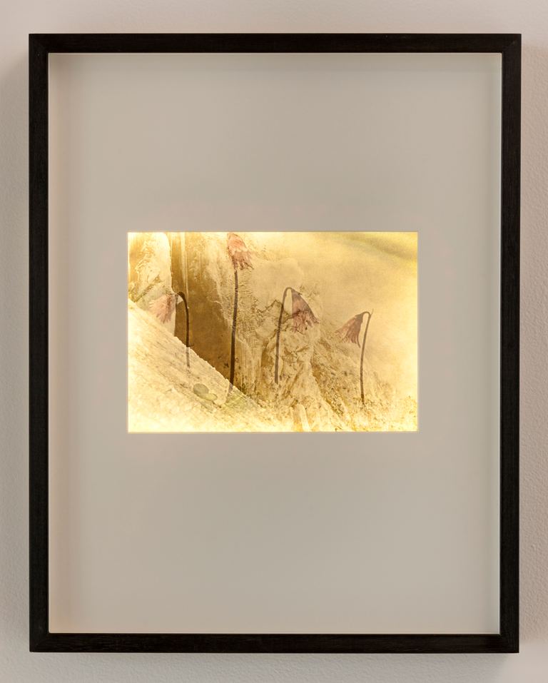 Lillian O'Neil, Ghost 3, 2014