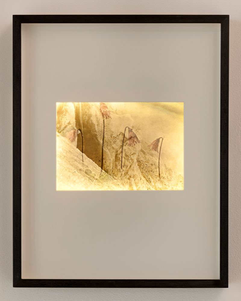 Lillian O'Neil, Ghost 3, 2014