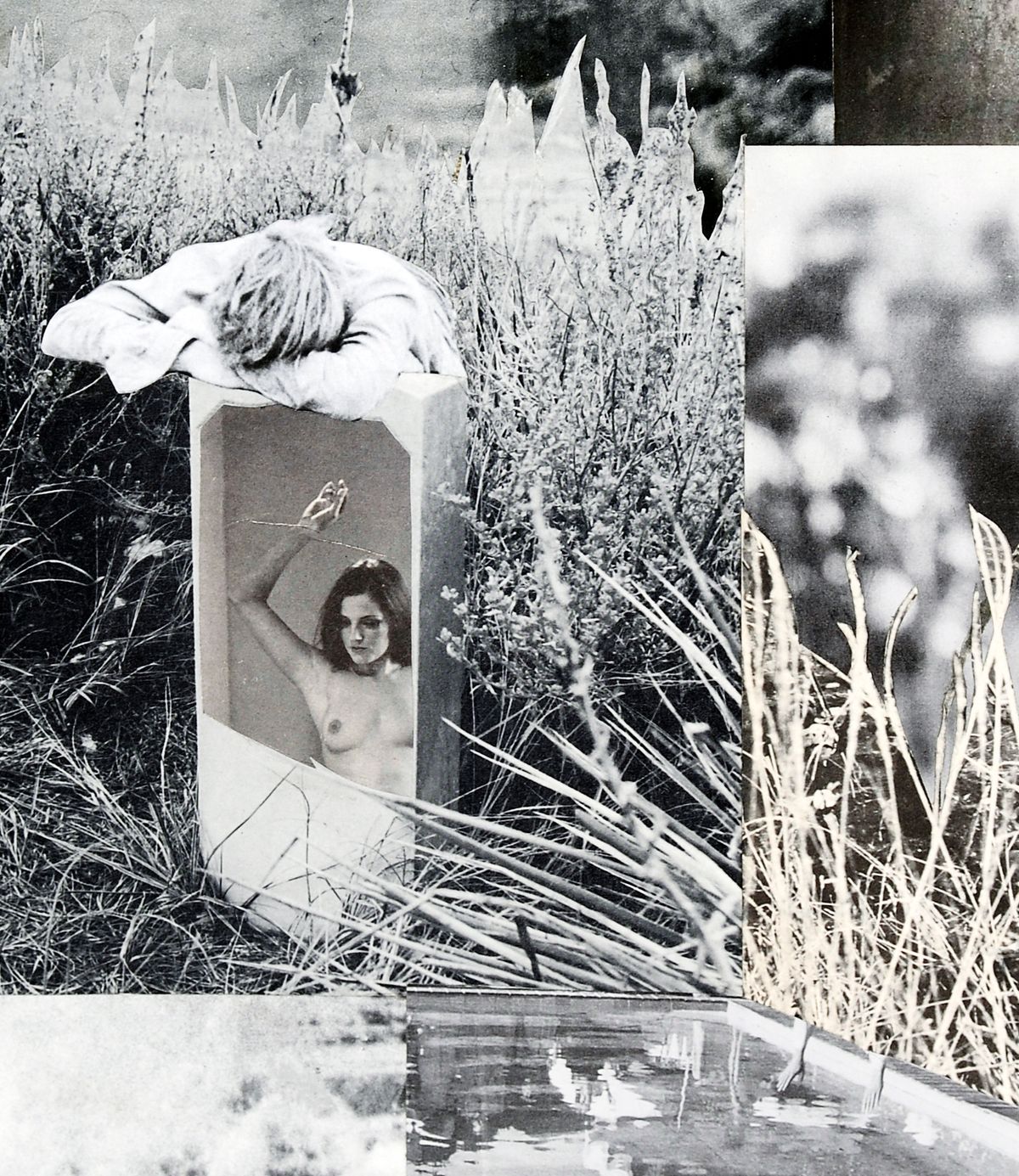 Pause before the fall