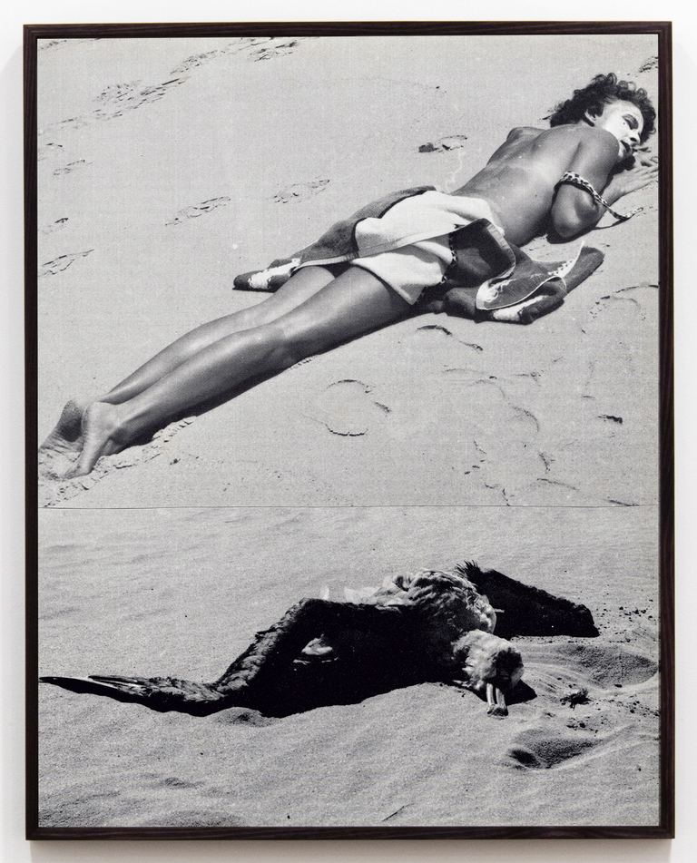 Lillian O'Neil, Albatross, 2017