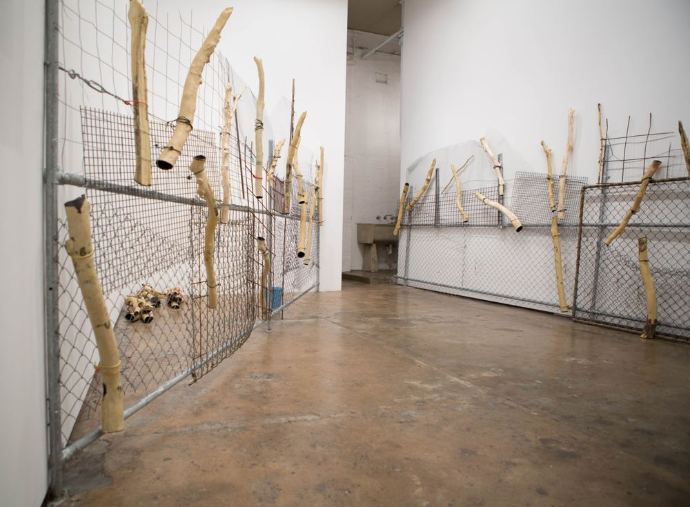 Yasmin Smith: Ntaria Fence