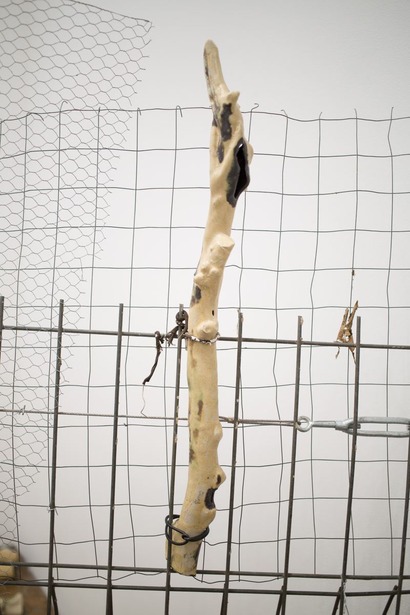 Yasmin Smith, Ntaria branch 2, 2015