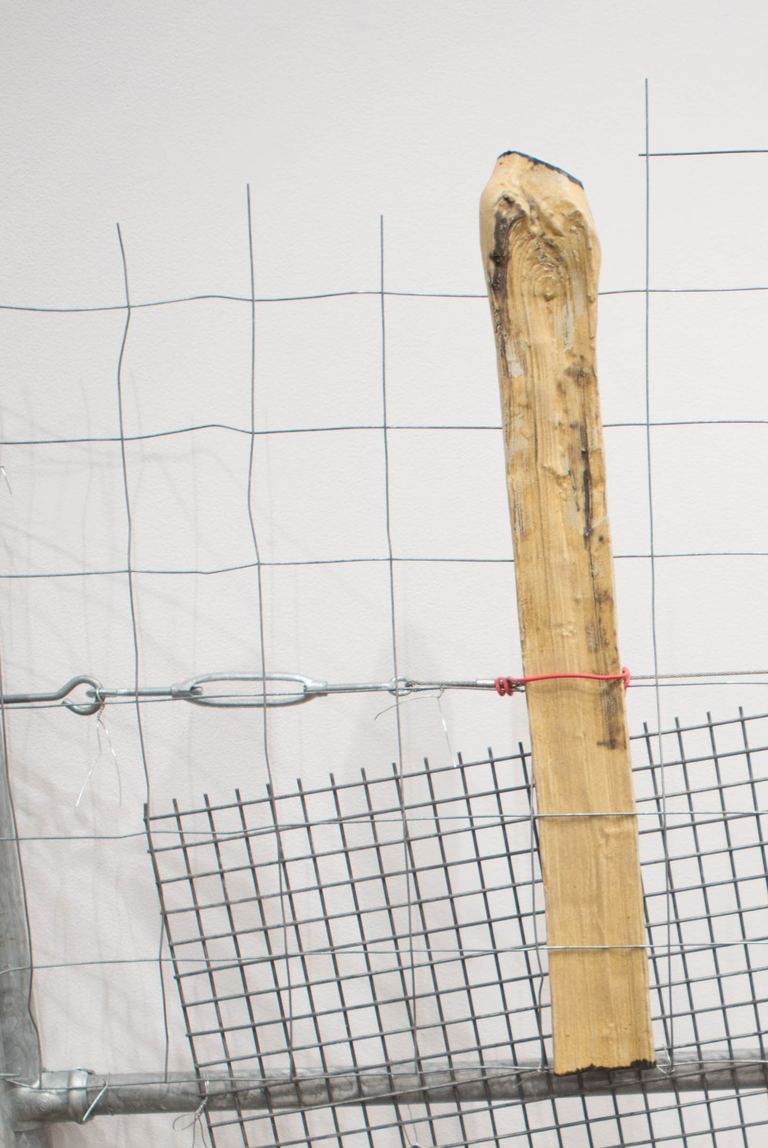 Yasmin Smith, Ntaria branch 5, 2015