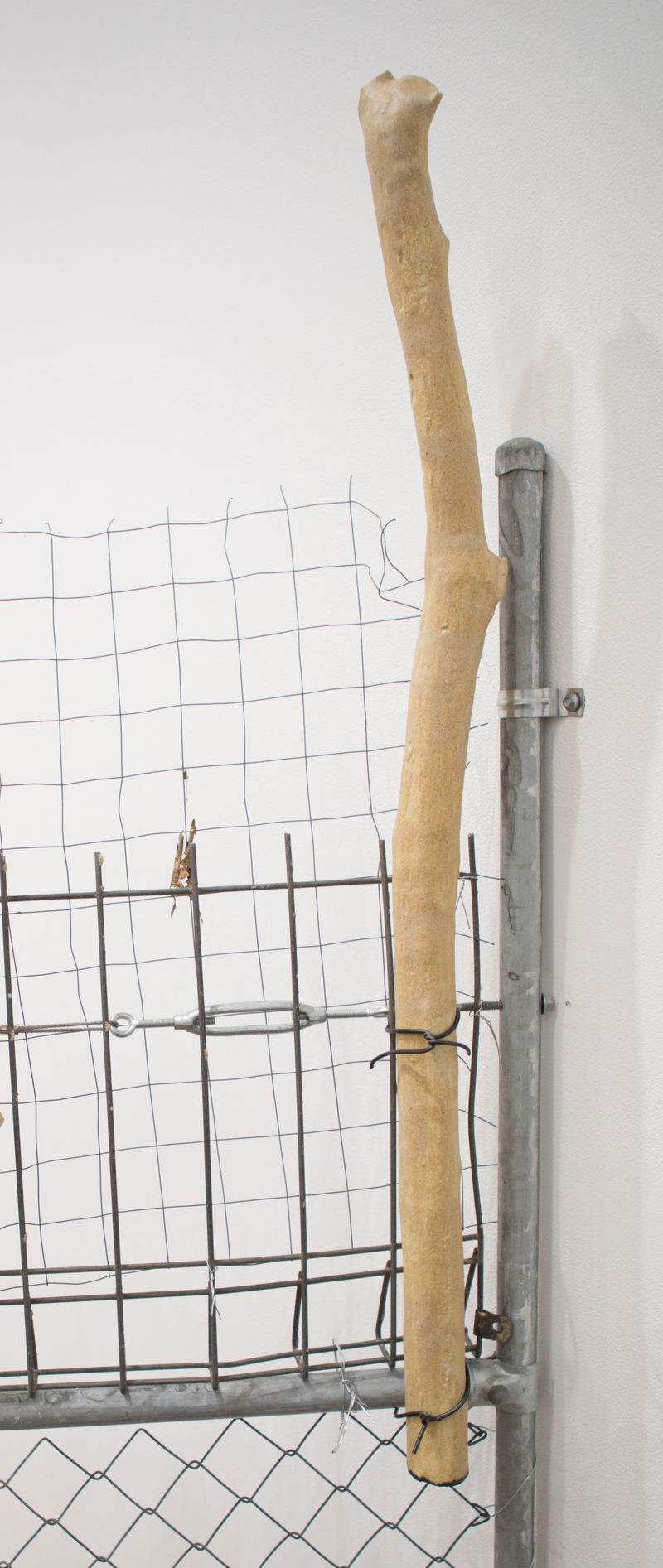 Yasmin Smith, Ntaria branch 7, 2015