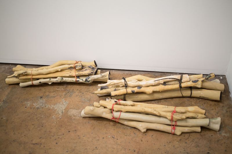 Yasmin Smith, Bundle of Ntaria branches 1, 2 and 3, 2015