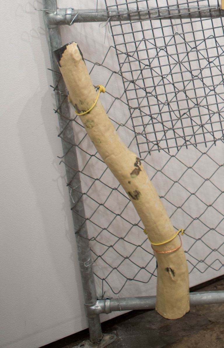 Yasmin Smith, Ntaria branch 8, 2015