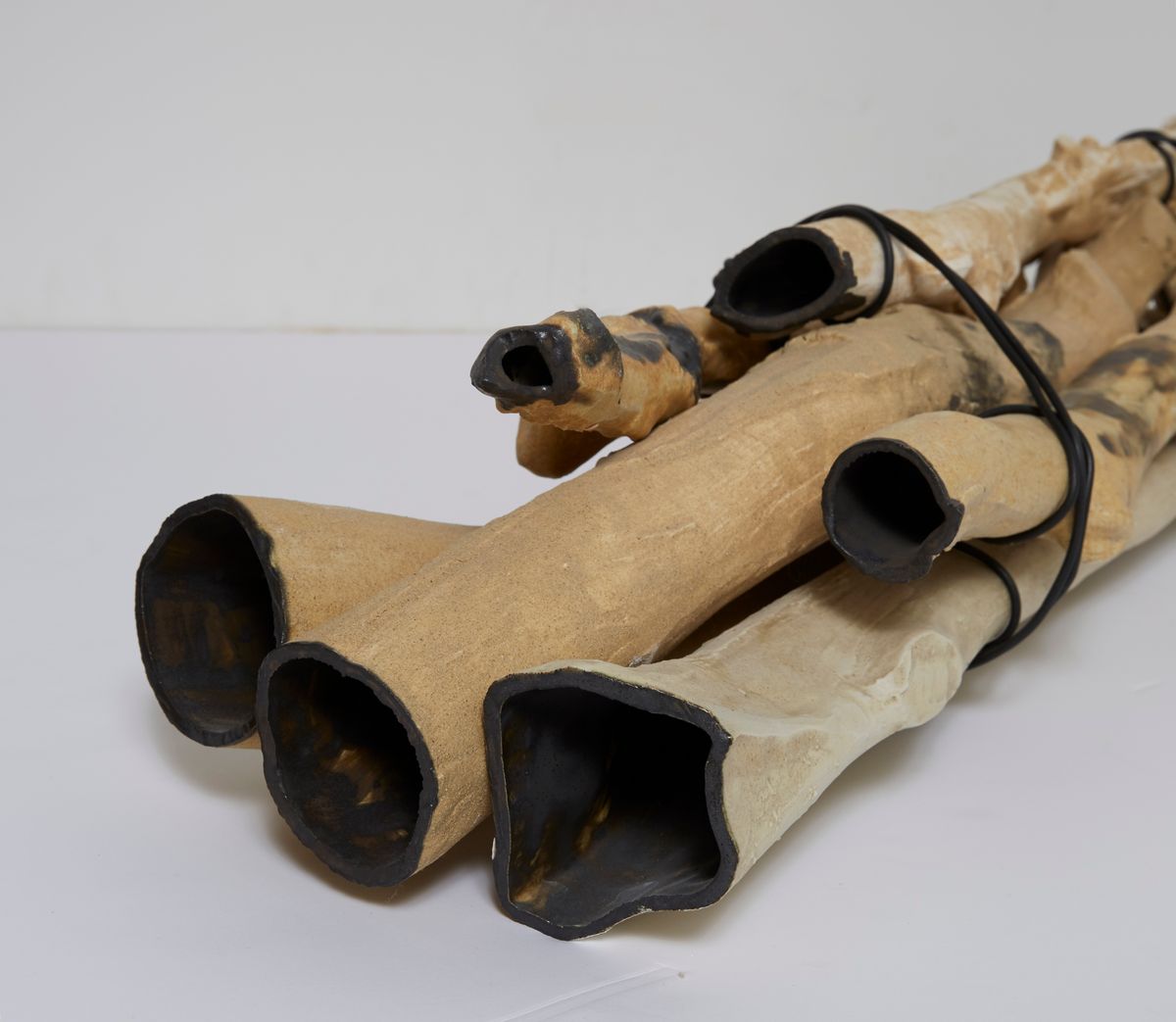 Bundle of Ntaria branches 1