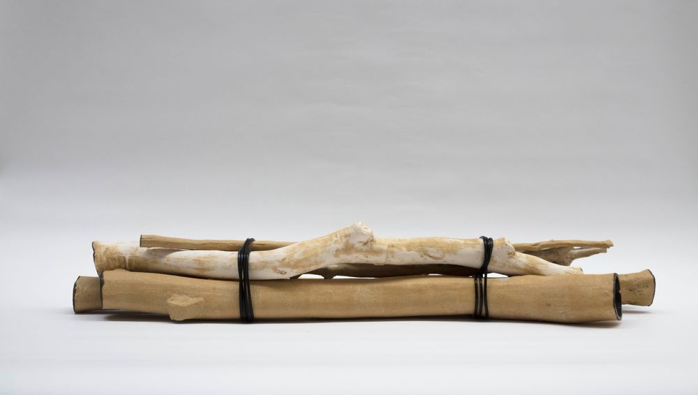 Bundle of Ntaria branches 4