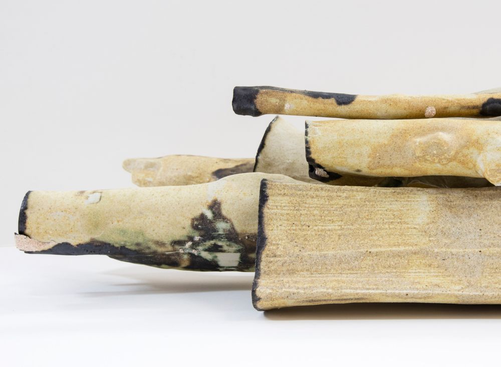 Bundle of Ntaria branches 7