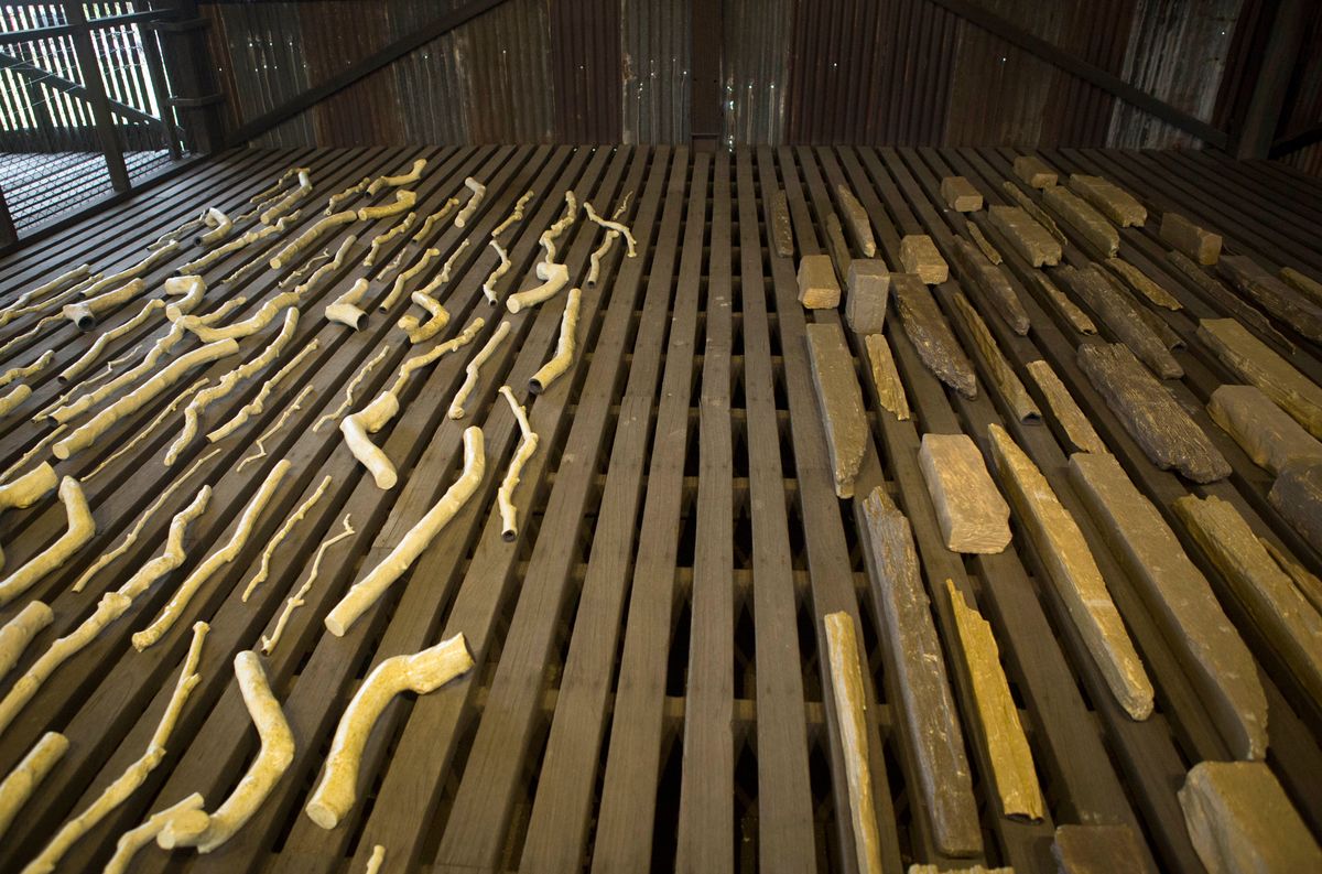 21st Biennale of Sydney SUPERPOSITION: Equilibrium & Engagement