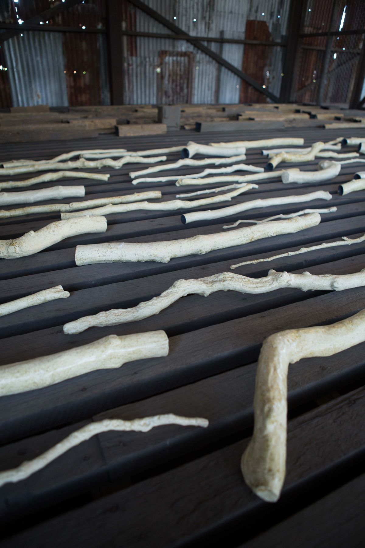 21st Biennale of Sydney SUPERPOSITION: Equilibrium & Engagement