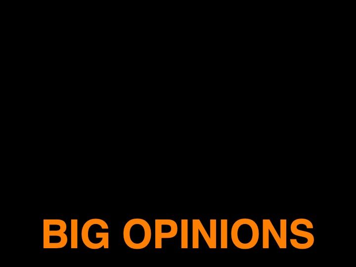 3. BIG OPINIONS, 2008 AGS.ppsx