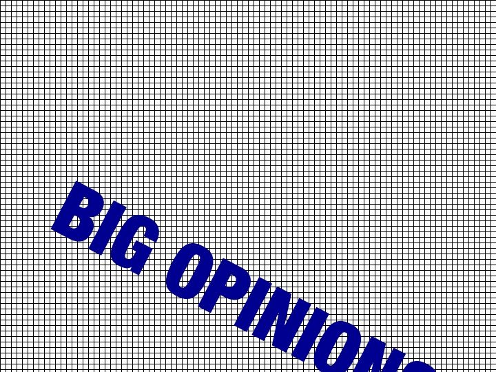 15. BIG OPINIONS (MELBOURNE), 2011 AGS.ppsx