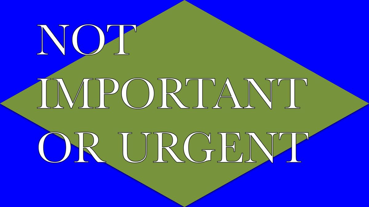 48. NOT IMPORTANT OR URGENT, 2015 AGS.ppsx