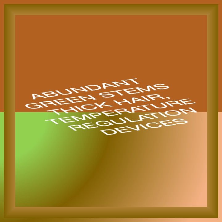 59. SEVEN WINDOWS, 2017 AGS.ppsx