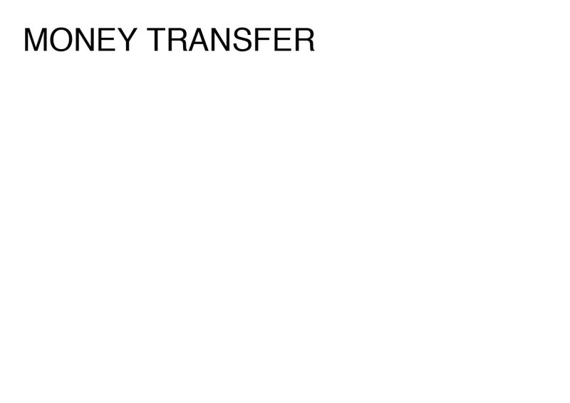 Agatha Gothe-Snape, MONEY TRANSFER, 2014