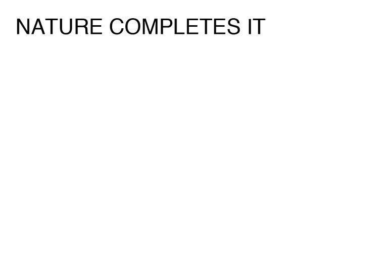 Agatha Gothe-Snape, NATURE COMPLETES IT, 2014