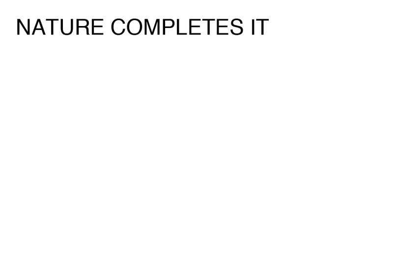 Agatha Gothe-Snape, NATURE COMPLETES IT, 2014