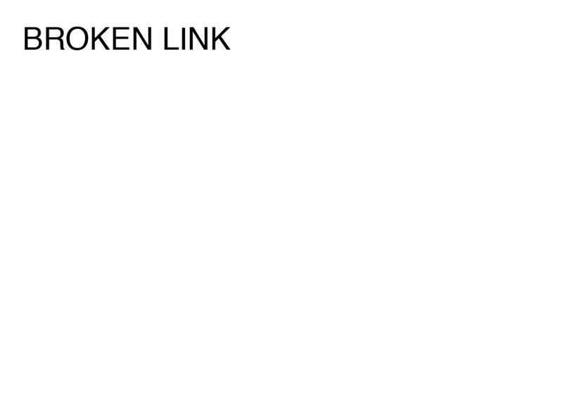 Agatha Gothe-Snape, BROKEN LINK, 2014