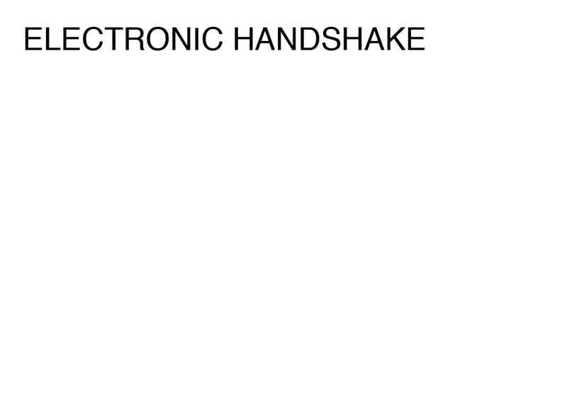 Agatha Gothe-Snape, ELECTRONIC HANDSHAKE, 2014