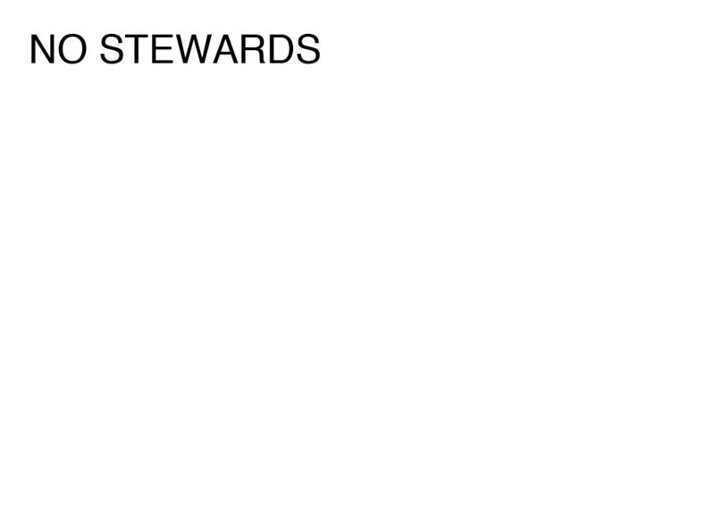 Agatha Gothe-Snape, NO STEWARDS, 2014