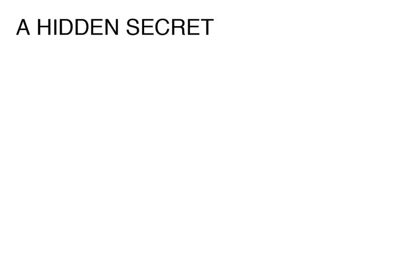 Agatha Gothe-Snape, A HIDDEN SECRET, 2014