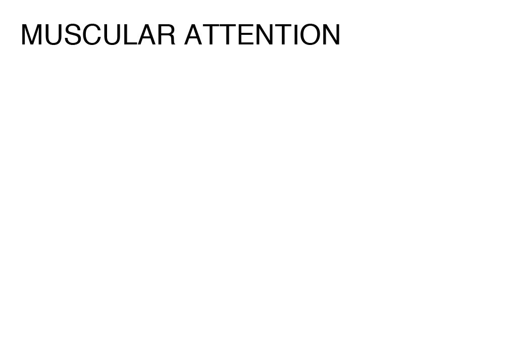 MUSCULAR ATTENTION