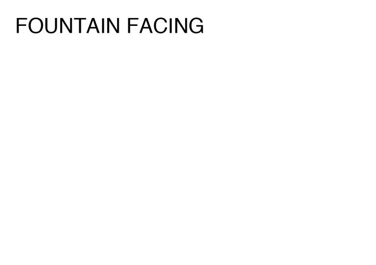 Agatha Gothe-Snape, FOUNTAIN FACING, 2014