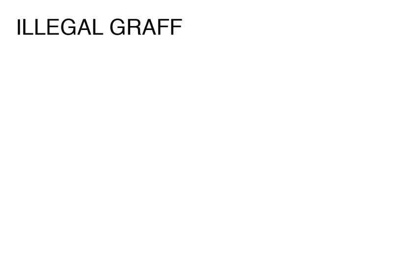Agatha Gothe-Snape, ILLEGAL GRAFF, 2014