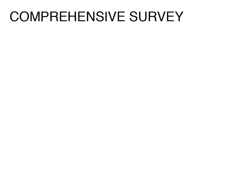 Agatha Gothe-Snape, COMPREHENSIVE SURVEY, 2014