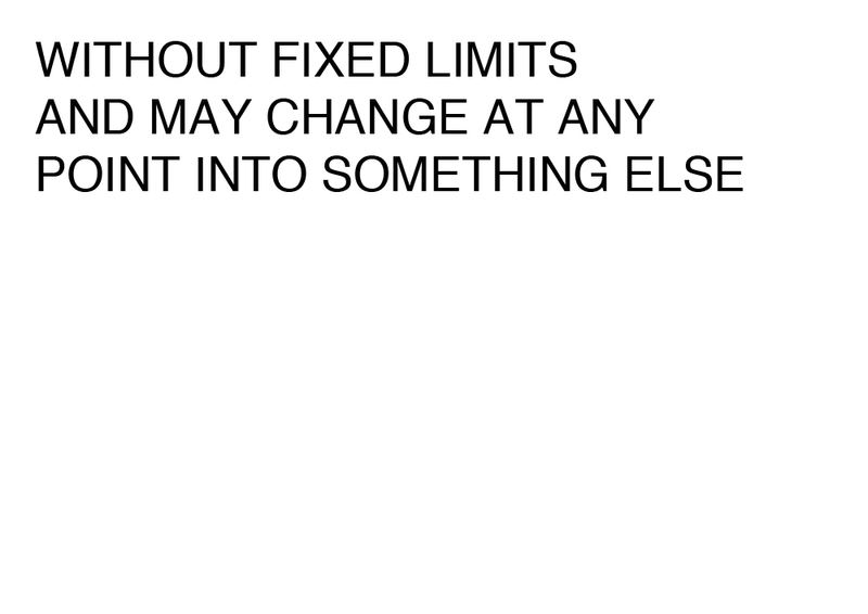 Agatha Gothe-Snape, WITHOUT FIXED LIMITS AND MAY CHANGE AT ANY POINT INTO SOMETHING ELSE, 2014