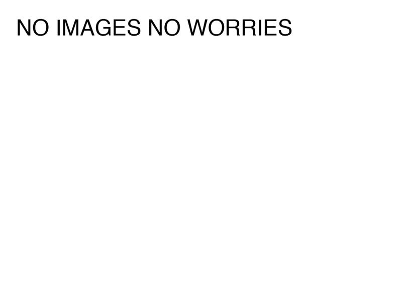Agatha Gothe-Snape, NO IMAGES NO WORRIES, 2014