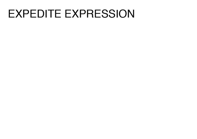 Agatha Gothe-Snape, EXPEDITE EXPRESSION, 2014