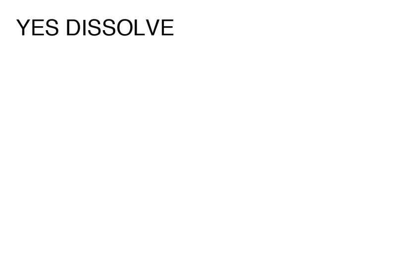 Agatha Gothe-Snape, YES DISSOLVE, 2014