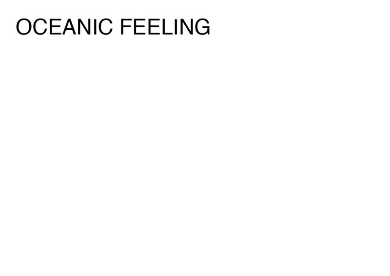Agatha Gothe-Snape, OCEANIC FEELING, 2014