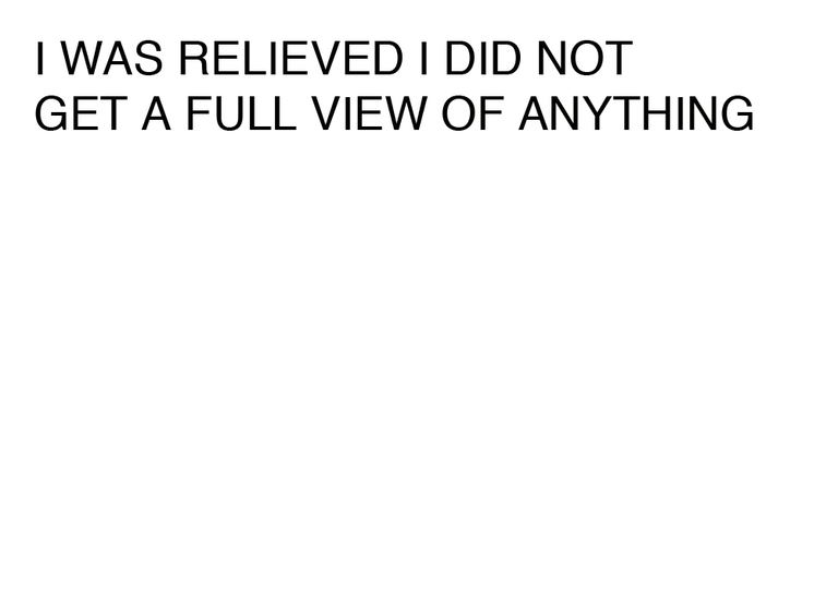 Agatha Gothe-Snape, I WAS RELIEVED I DID NOT GET A FULL VIEW OF ANYTHING, 2014