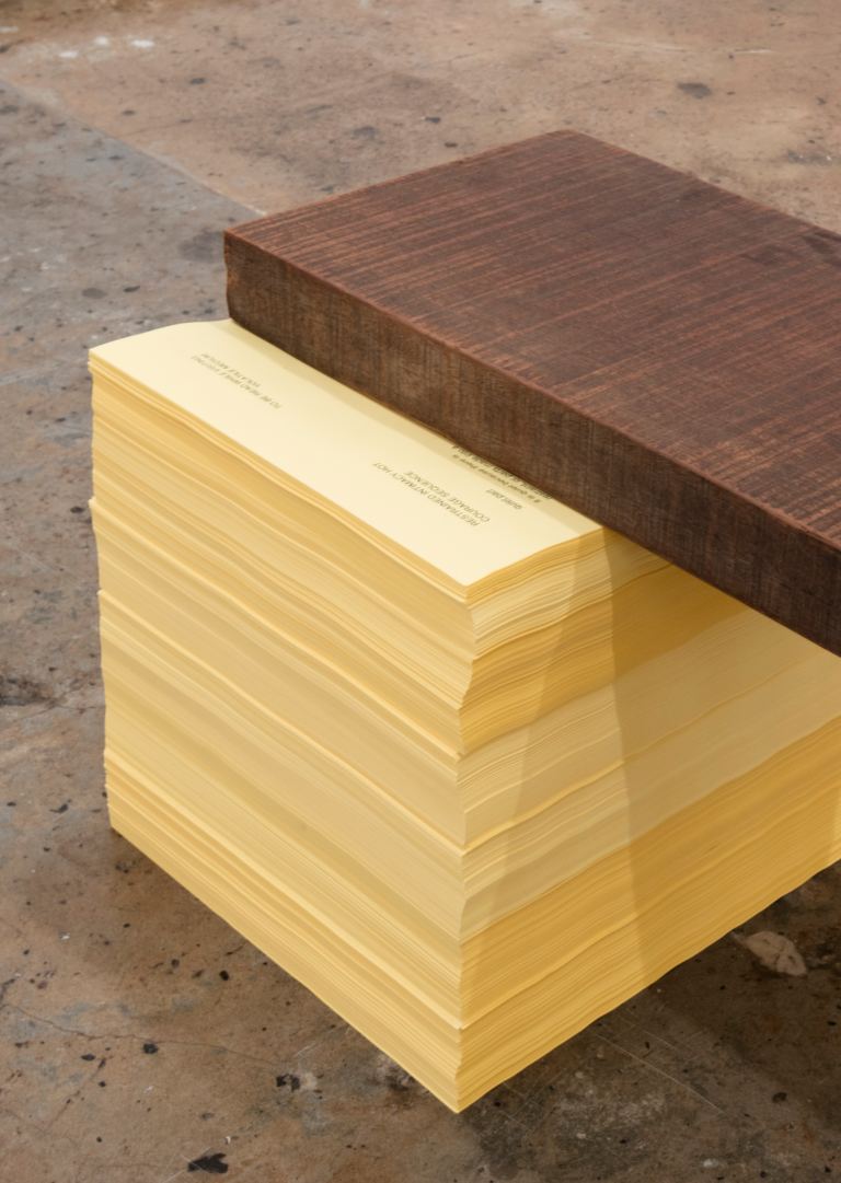 Agatha Gothe-Snape, Support, 2016