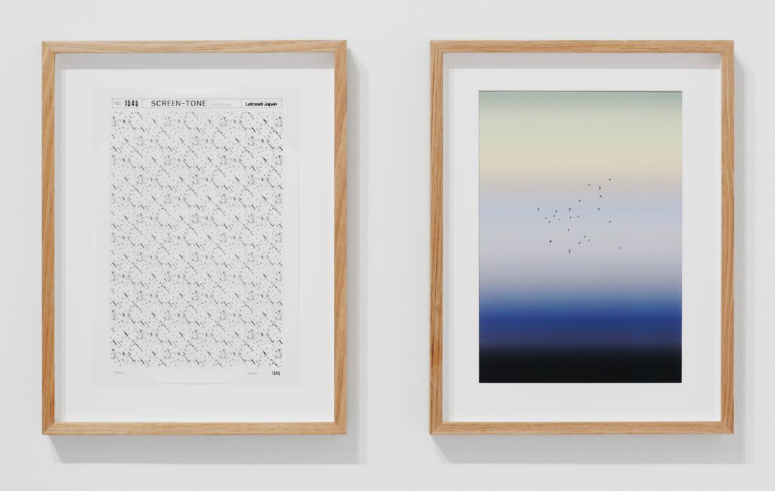 THE SUN LITTERS THE CLEARING