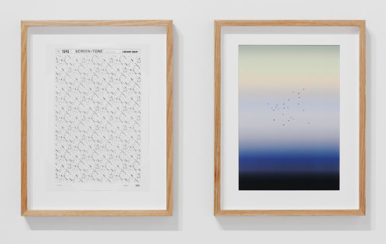 Agatha Gothe-Snape, THE SUN LITTERS THE CLEARING, 2017