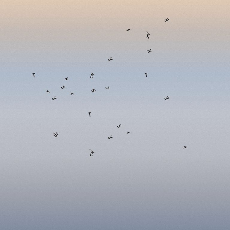 Agatha Gothe-Snape, THE SUN LITTERS THE CLEARING, 2017