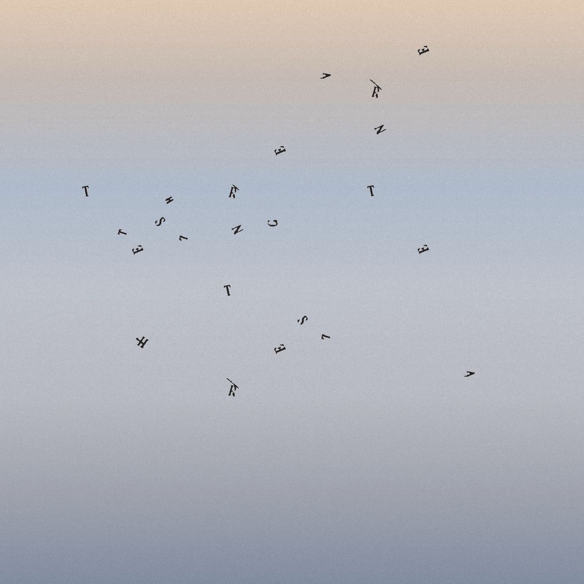 THE SUN LITTERS THE CLEARING