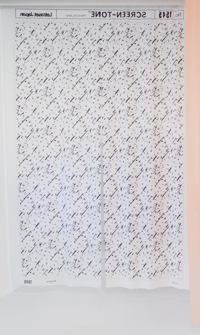 Agatha Gothe-Snape, SCREENTONE (OBSCURE LANGUAGE), 2017