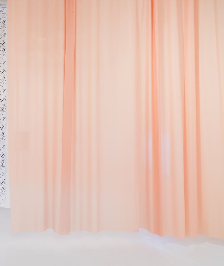 Agatha Gothe-Snape, SKINTONE (CMYK), 2017