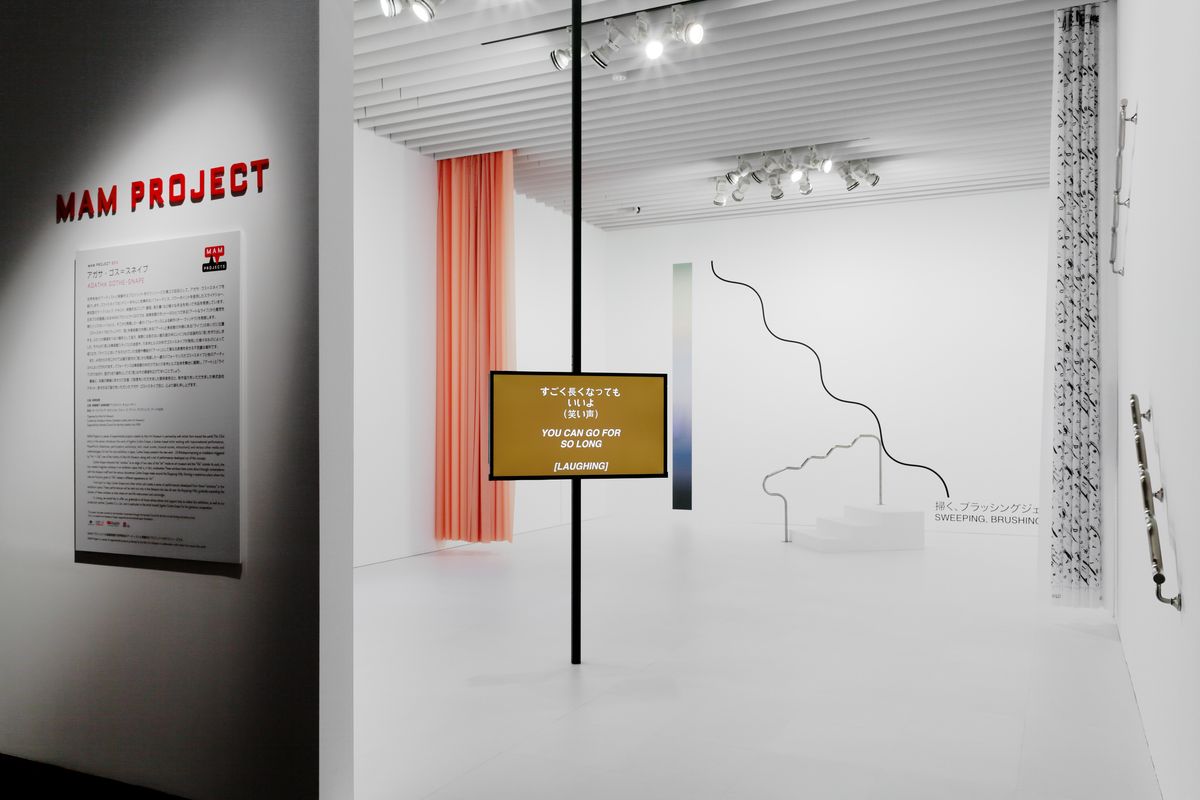 Installation view: “MAM Project 023: Agatha Gothe-Snape,” Mori Art Museum, Tokyo, 2017