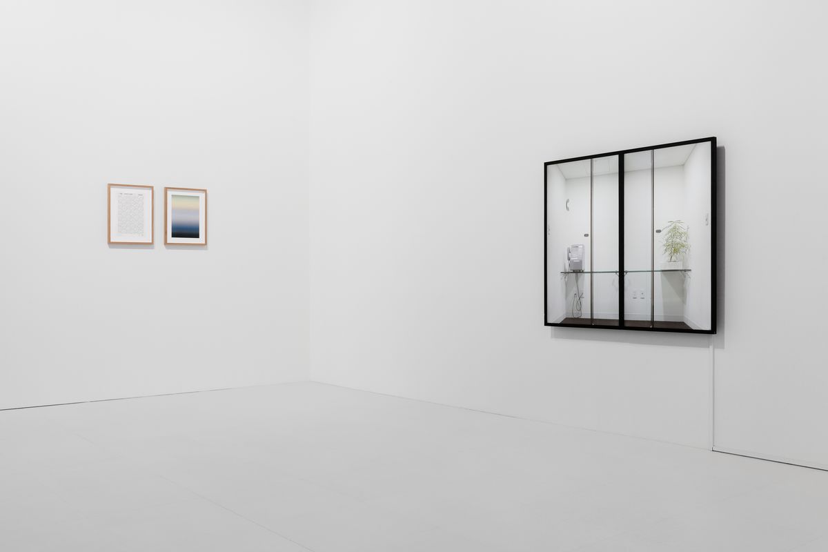 Installation view: “MAM Project 023: Agatha Gothe-Snape,” Mori Art Museum, Tokyo, 2017