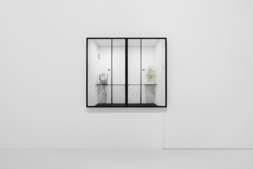 Agatha Gothe-Snape: Oh Window | MAM Project 023